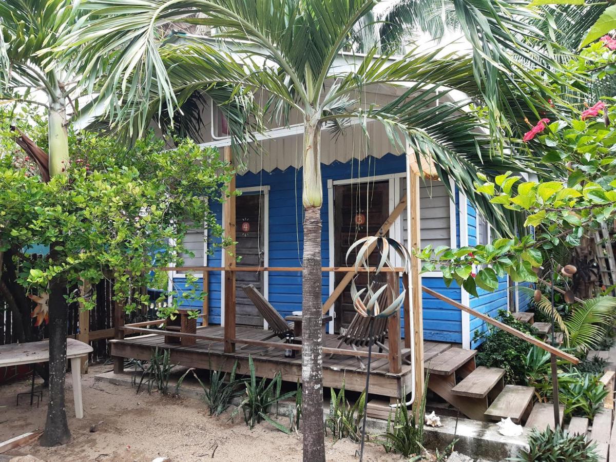 הופקינס The Funky Dodo Backpackers Hostel מראה חיצוני תמונה