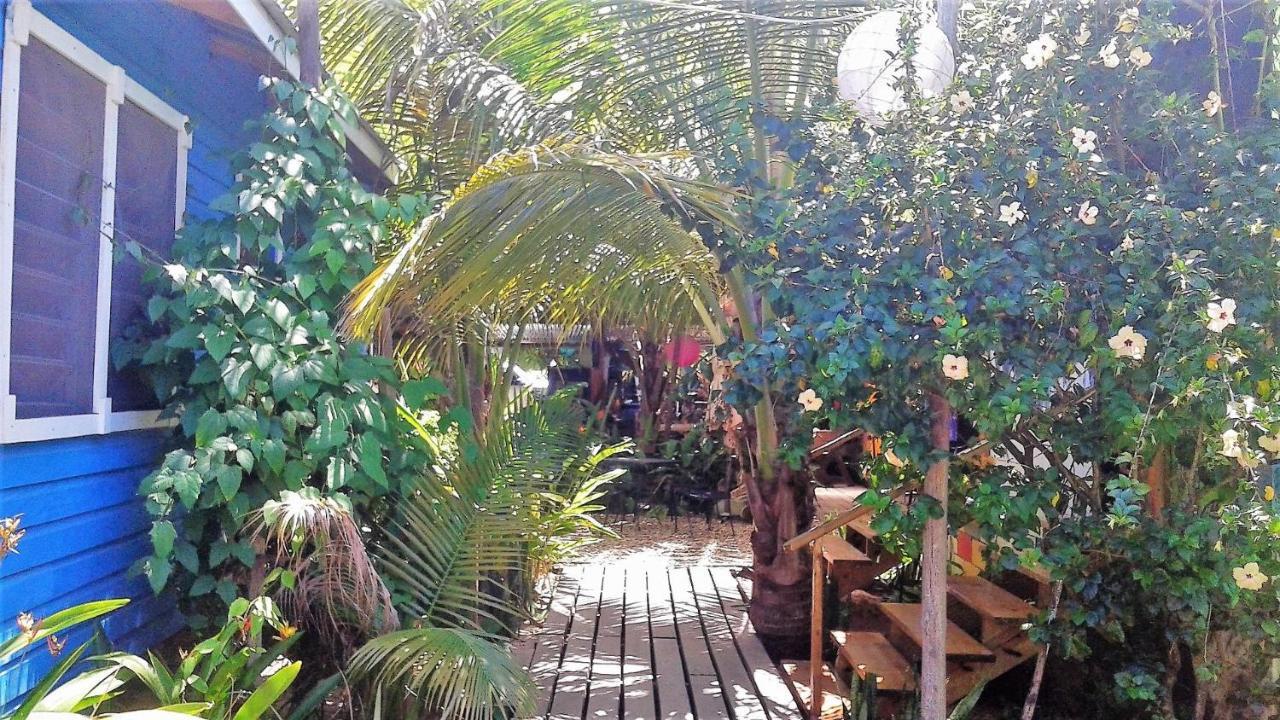 הופקינס The Funky Dodo Backpackers Hostel מראה חיצוני תמונה