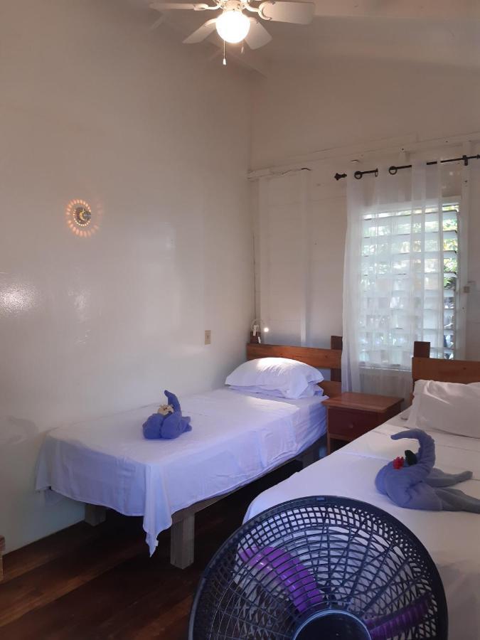 הופקינס The Funky Dodo Backpackers Hostel מראה חיצוני תמונה