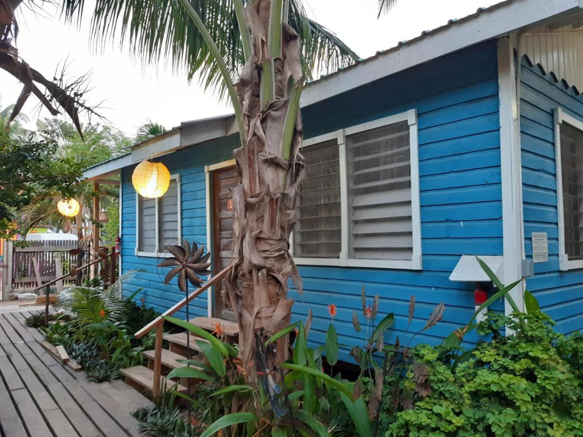 הופקינס The Funky Dodo Backpackers Hostel מראה חיצוני תמונה