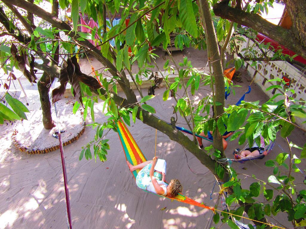 הופקינס The Funky Dodo Backpackers Hostel מראה חיצוני תמונה