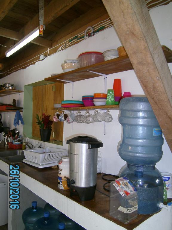 הופקינס The Funky Dodo Backpackers Hostel מראה חיצוני תמונה