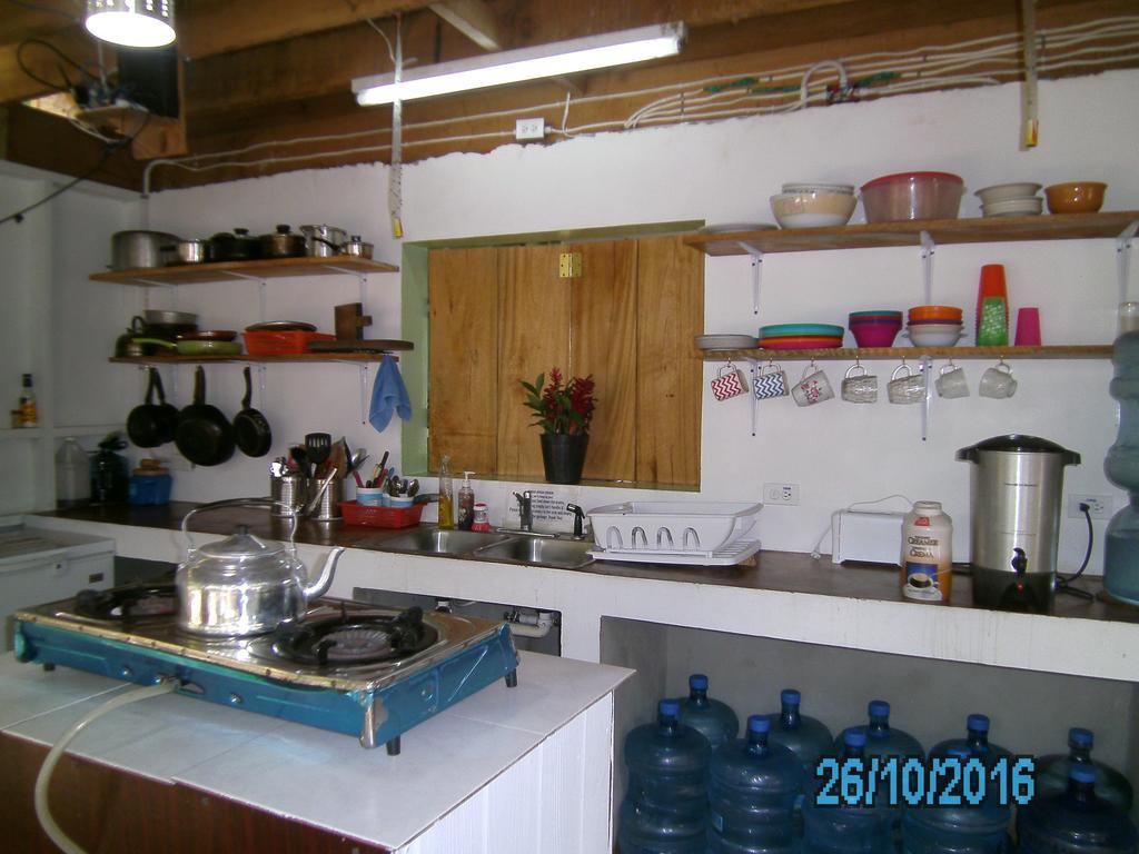הופקינס The Funky Dodo Backpackers Hostel מראה חיצוני תמונה