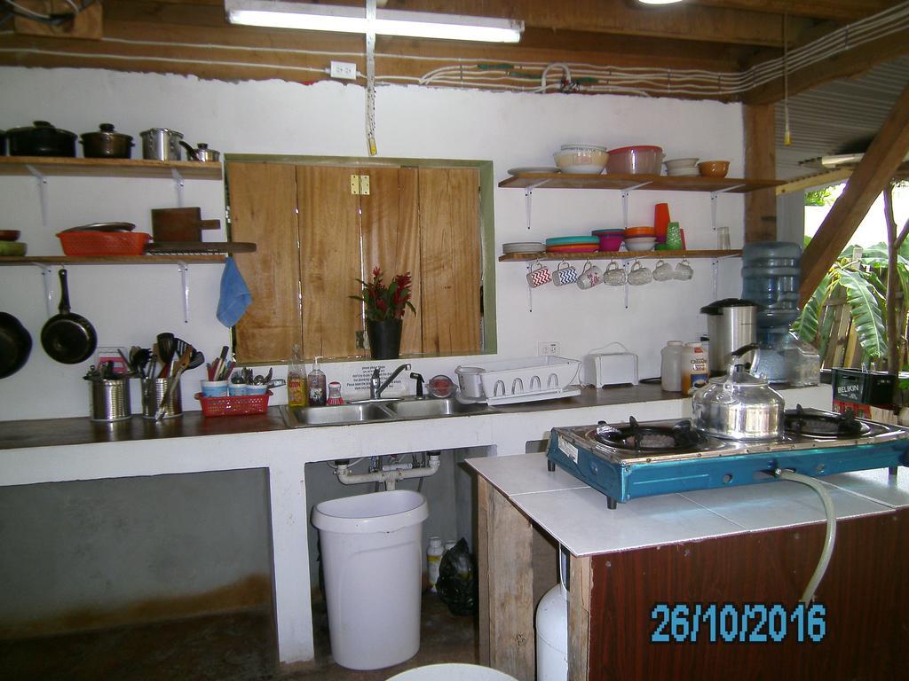הופקינס The Funky Dodo Backpackers Hostel מראה חיצוני תמונה