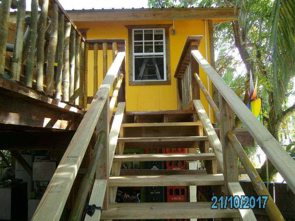הופקינס The Funky Dodo Backpackers Hostel מראה חיצוני תמונה