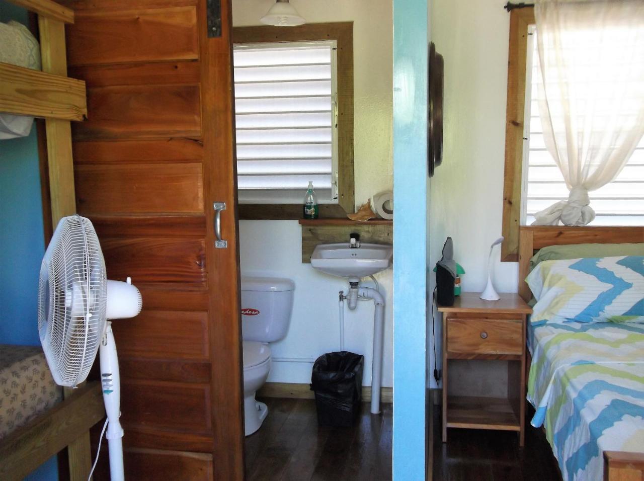 הופקינס The Funky Dodo Backpackers Hostel מראה חיצוני תמונה
