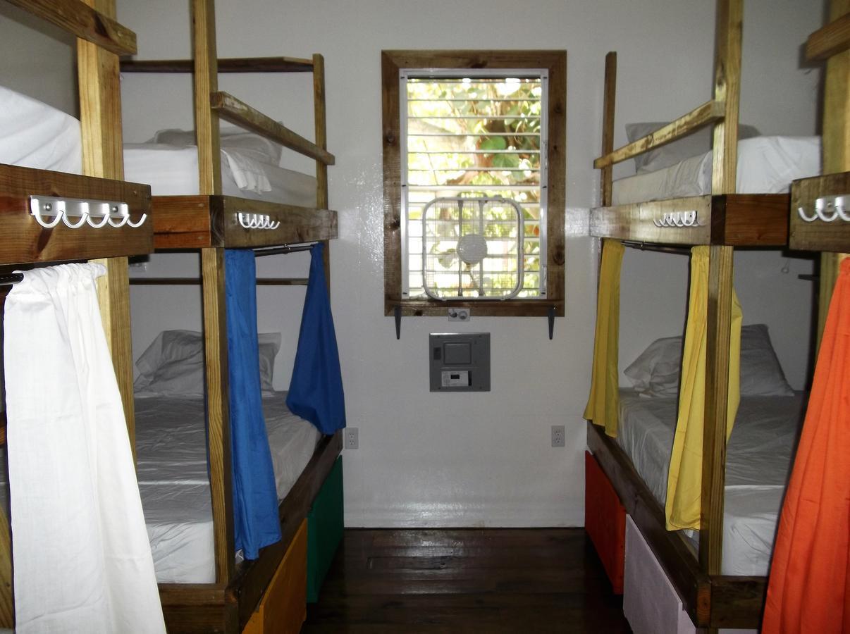 הופקינס The Funky Dodo Backpackers Hostel מראה חיצוני תמונה