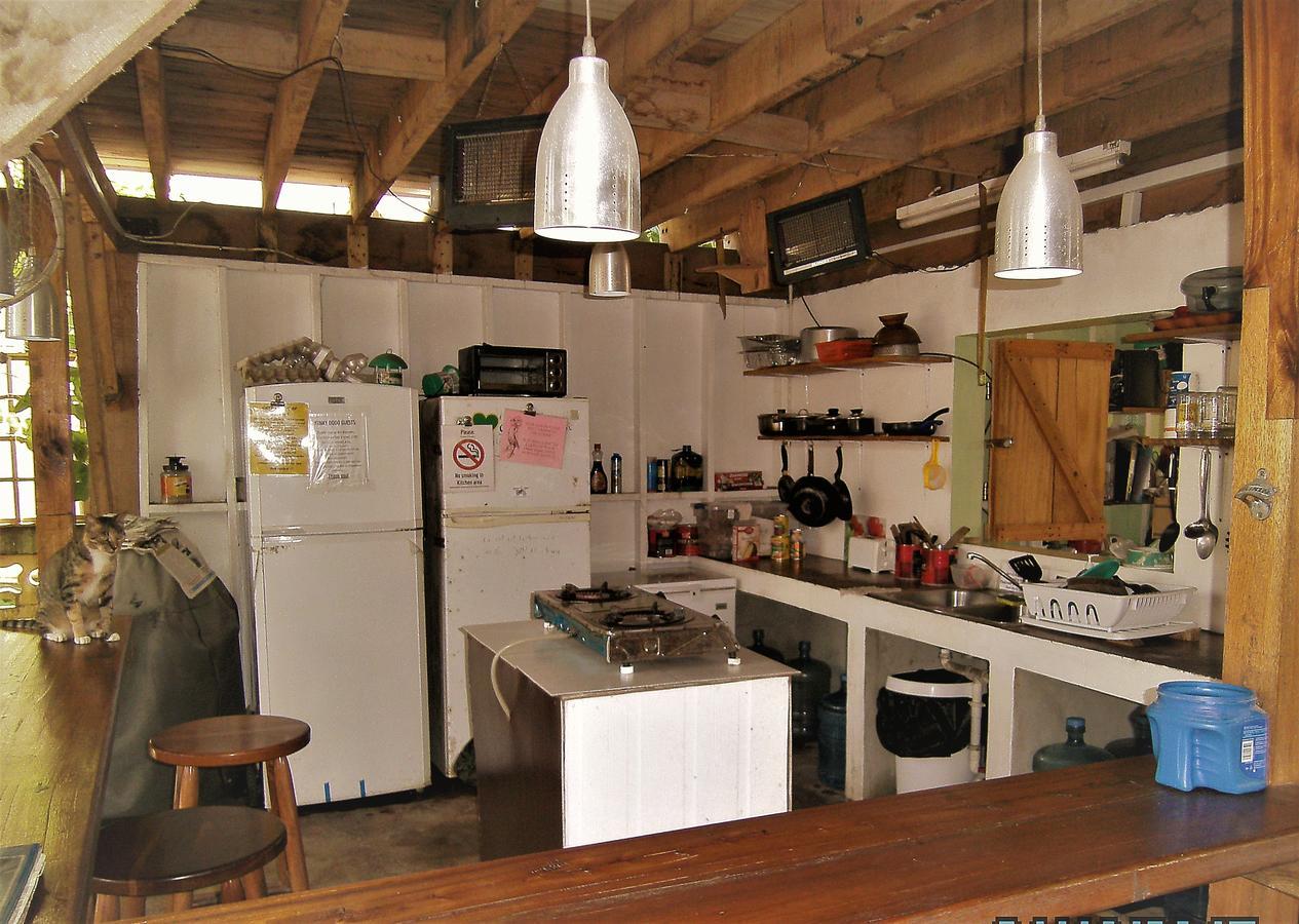 הופקינס The Funky Dodo Backpackers Hostel מראה חיצוני תמונה