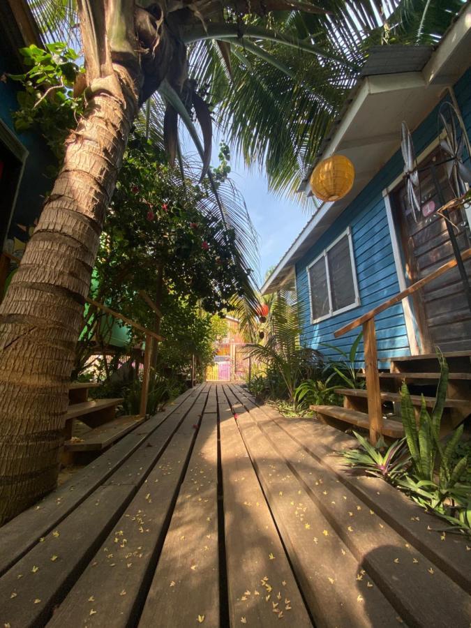 הופקינס The Funky Dodo Backpackers Hostel מראה חיצוני תמונה
