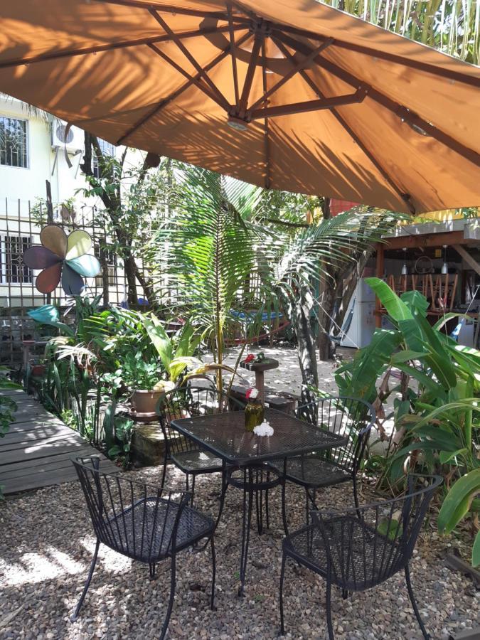 הופקינס The Funky Dodo Backpackers Hostel מראה חיצוני תמונה