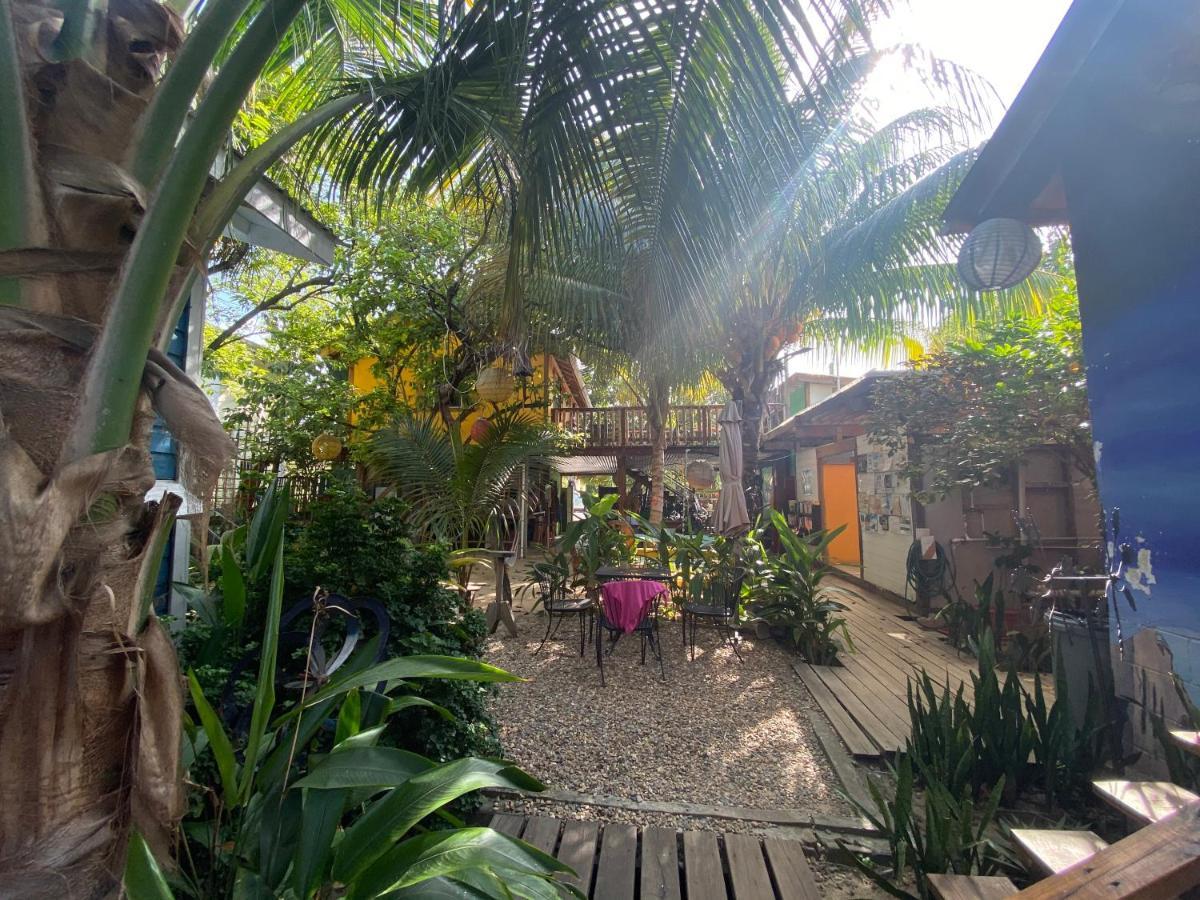 הופקינס The Funky Dodo Backpackers Hostel מראה חיצוני תמונה