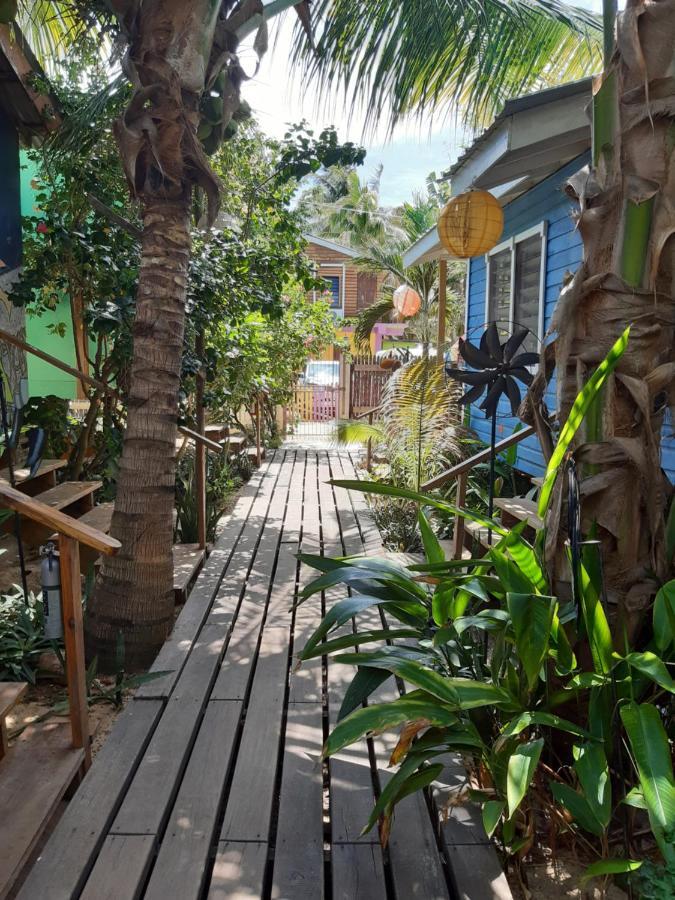 הופקינס The Funky Dodo Backpackers Hostel מראה חיצוני תמונה
