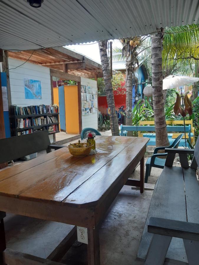 הופקינס The Funky Dodo Backpackers Hostel מראה חיצוני תמונה