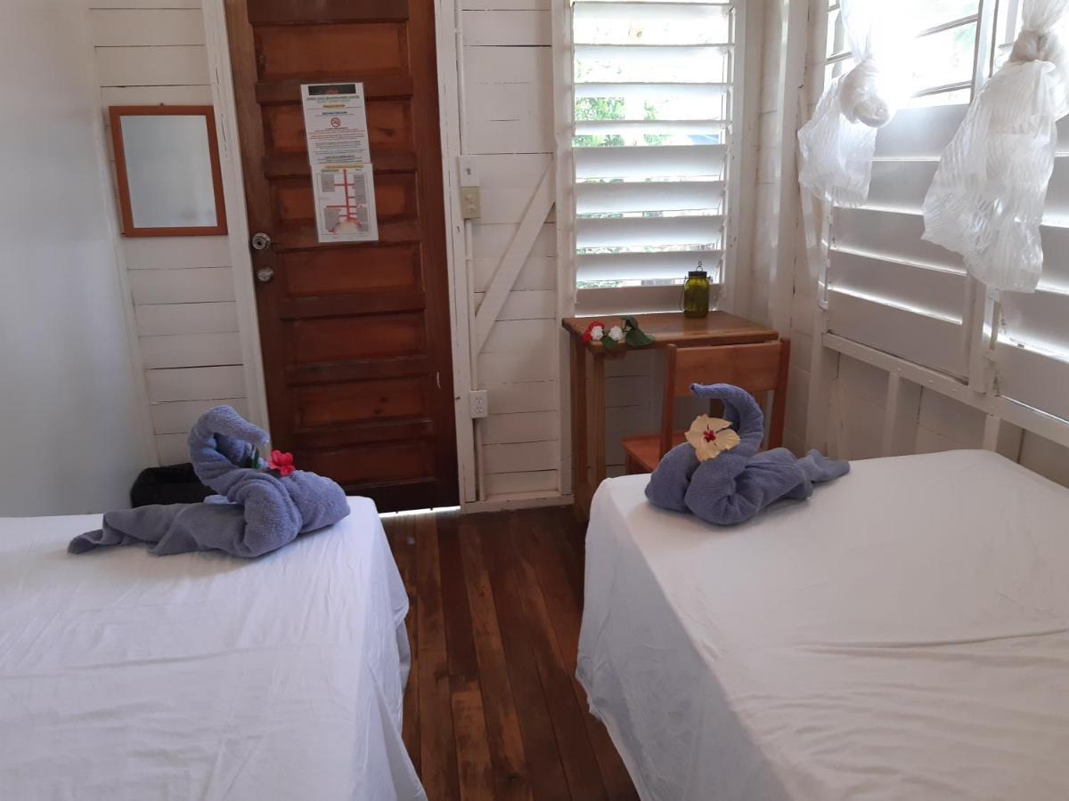 הופקינס The Funky Dodo Backpackers Hostel מראה חיצוני תמונה