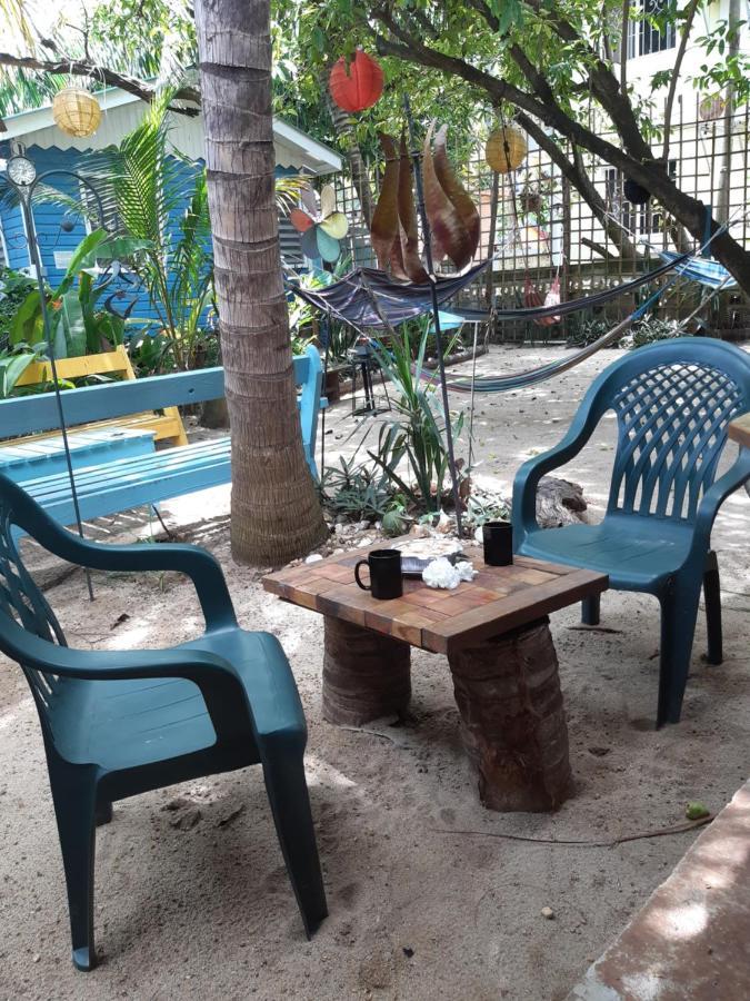 הופקינס The Funky Dodo Backpackers Hostel מראה חיצוני תמונה