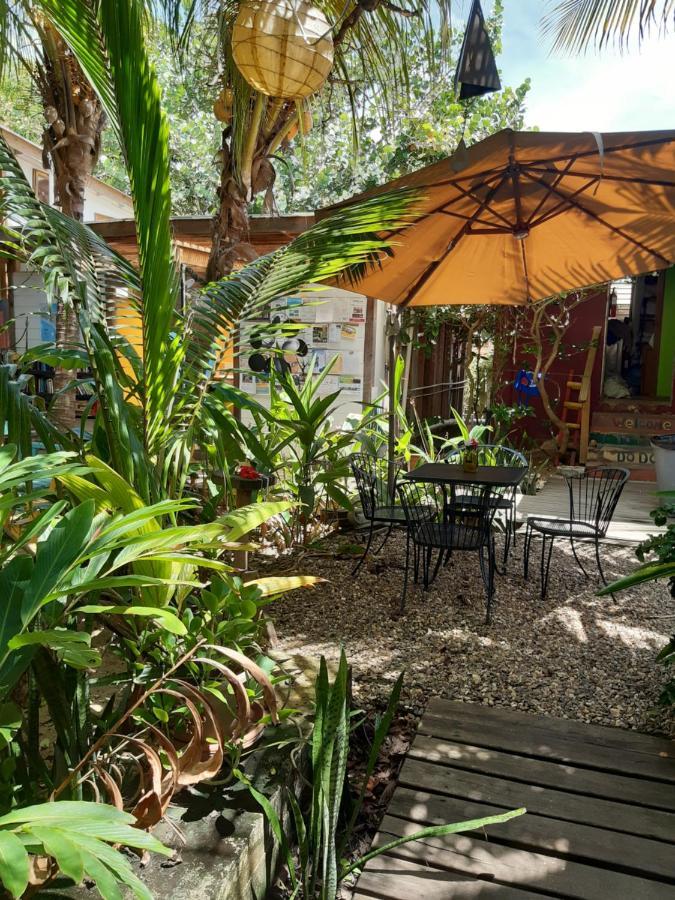 הופקינס The Funky Dodo Backpackers Hostel מראה חיצוני תמונה